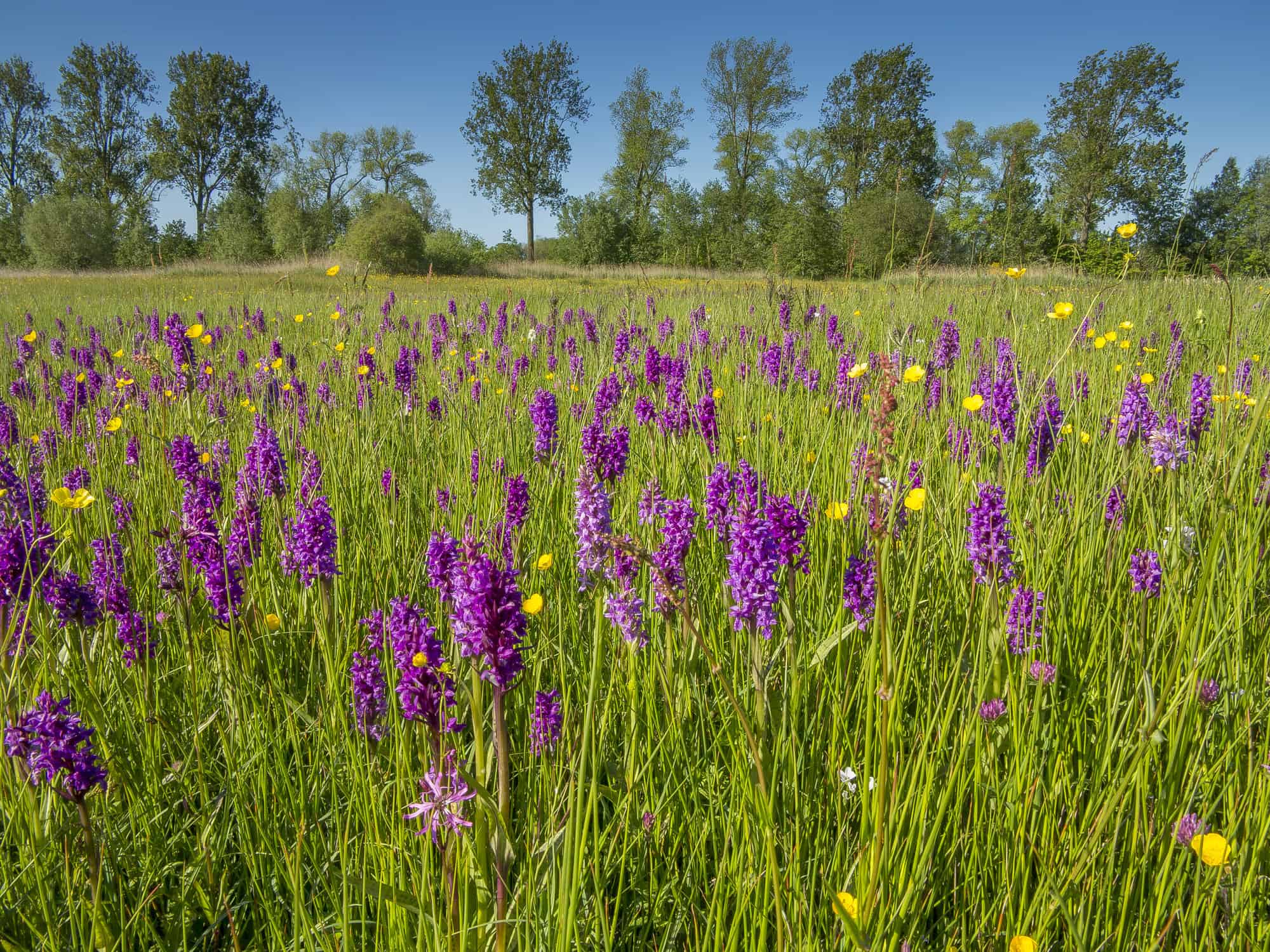 LL_ValleyZuidLeie4_Belgium@Kris_Decleer