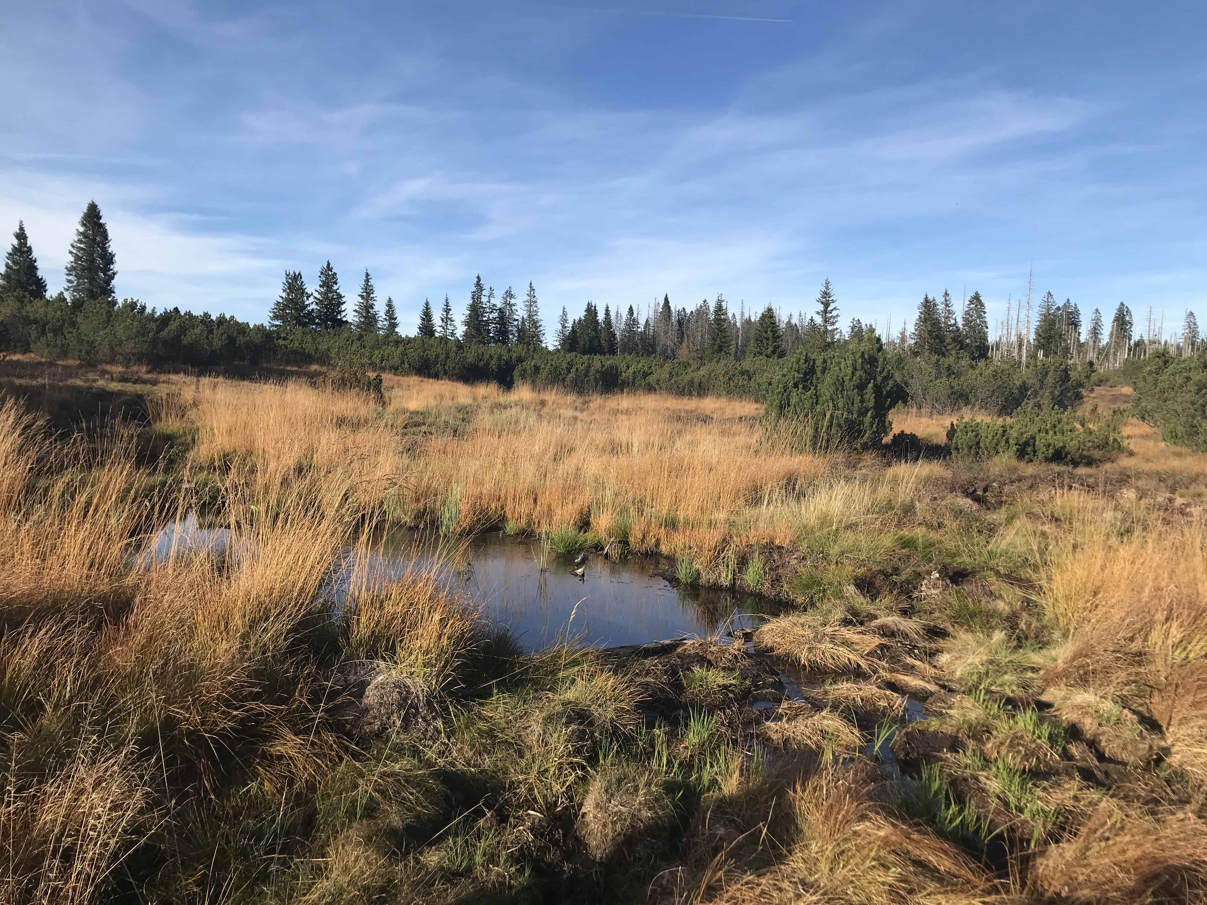 Austria’s Approach to the Ramsar Convention