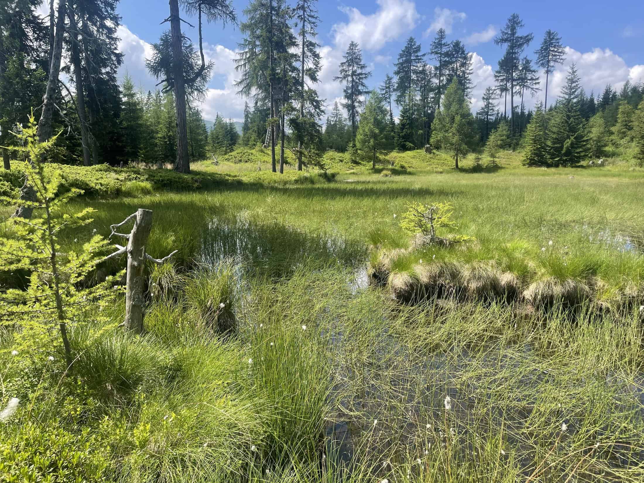 Restoration projects across Austria, Part 2