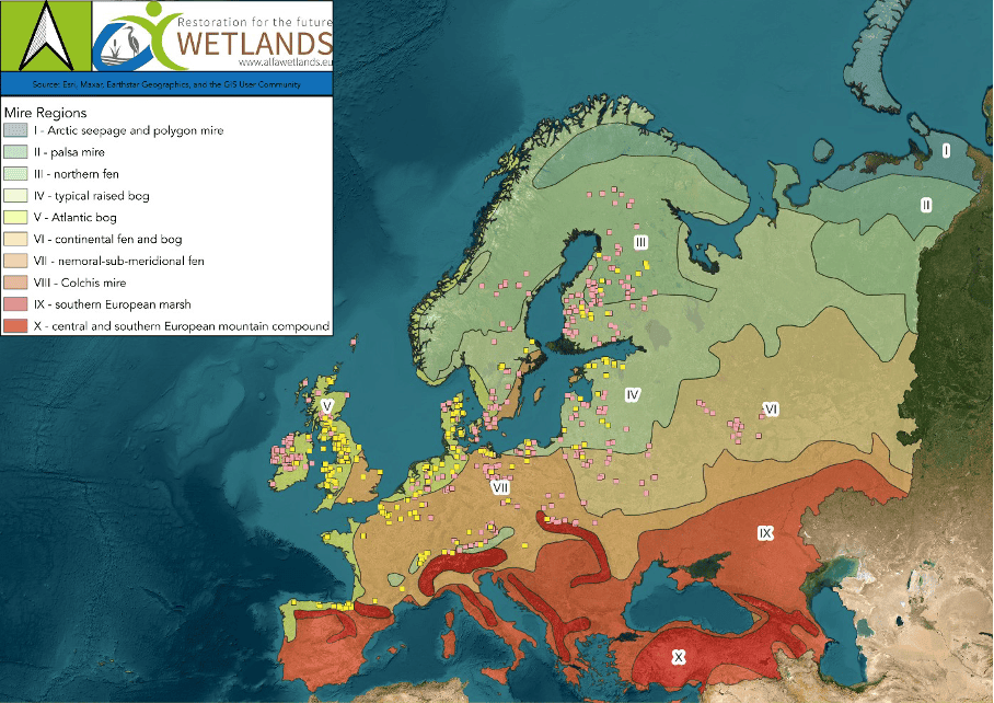 ALFAwetlands newest results: Recommendations for wetland restoration, Part 1