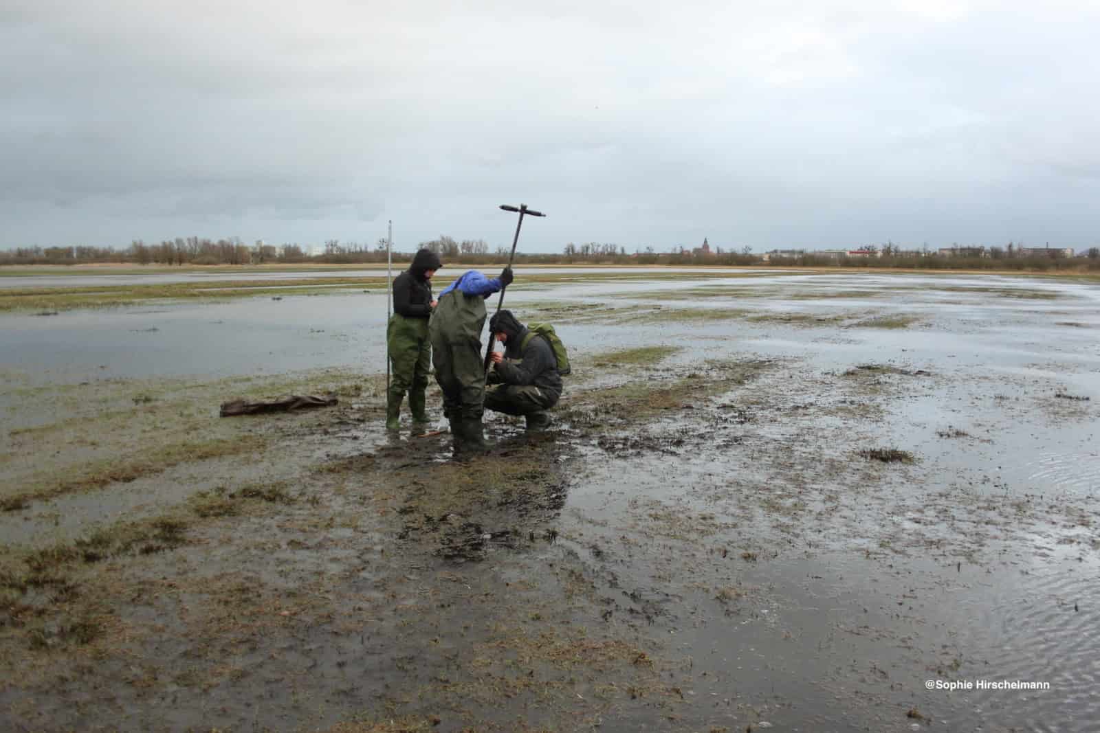 Peat Coring at Polder Retzow_Copyright Sophie Hirschelmann