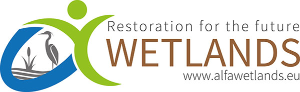 ALFAwetlands