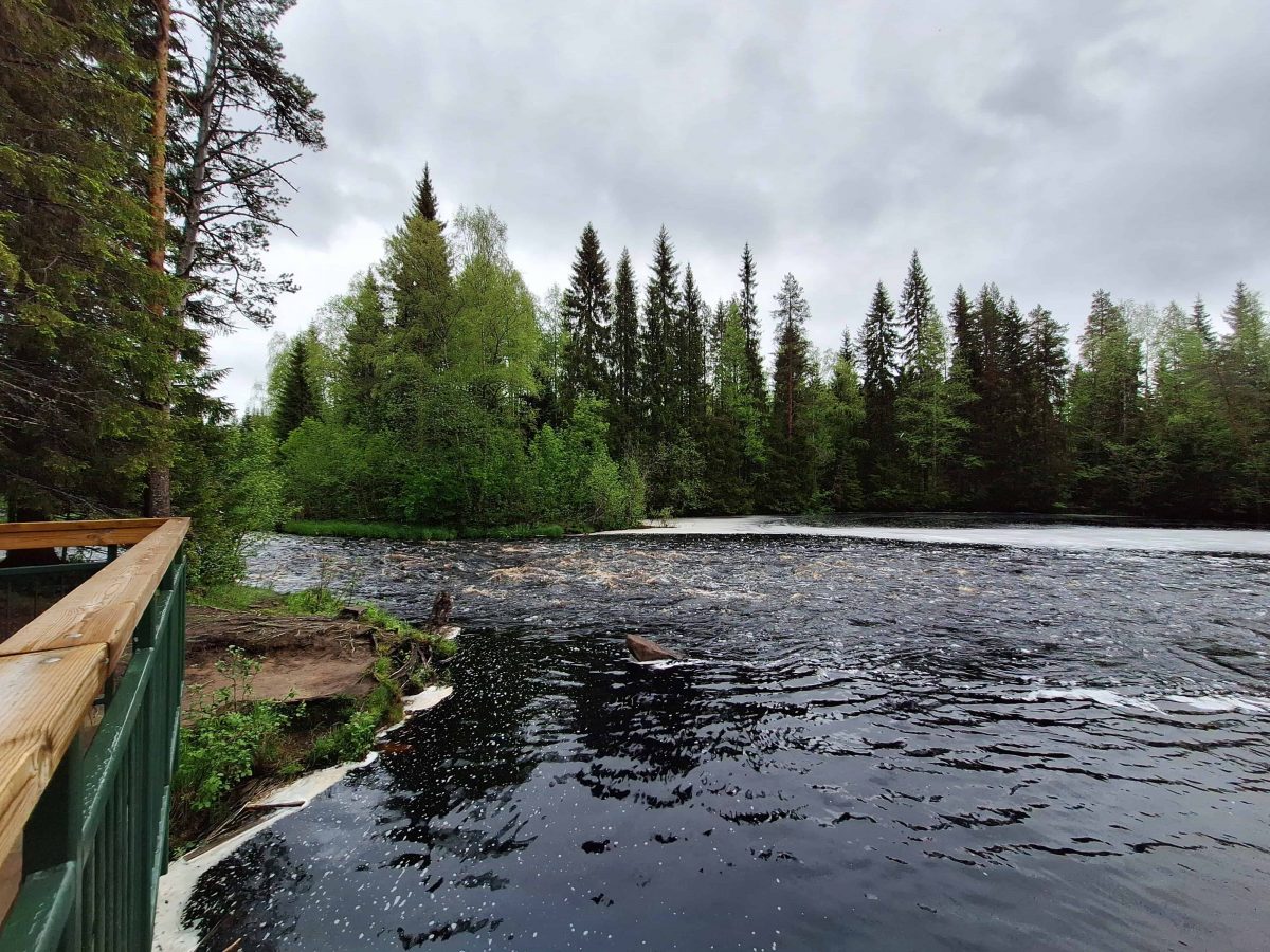 Sanginjoki river, Living Lab Finland. @Luke