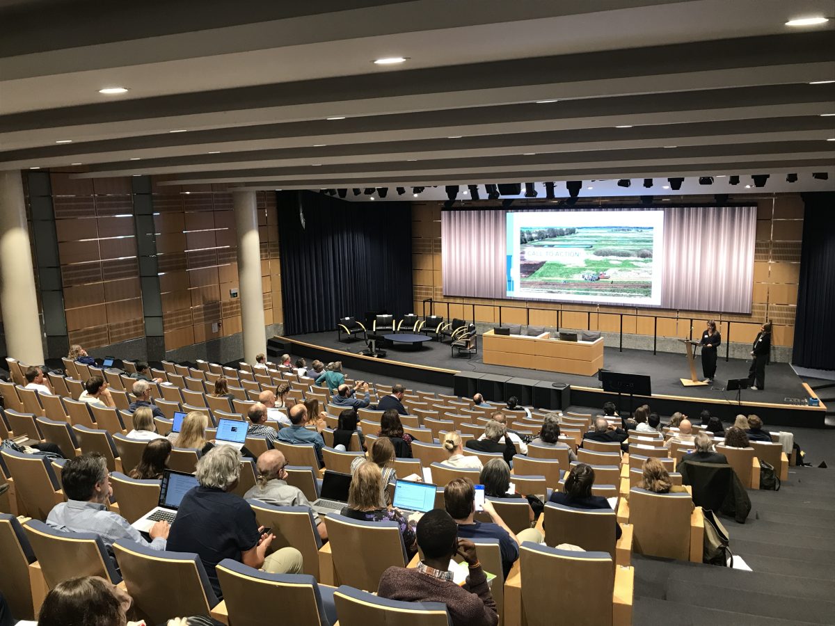 Final Conference